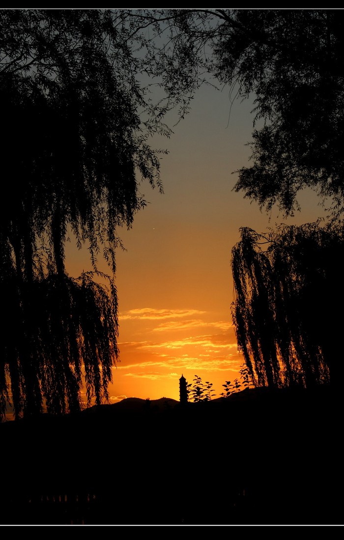 一抹夕阳简谱_一抹夕阳简谱高清