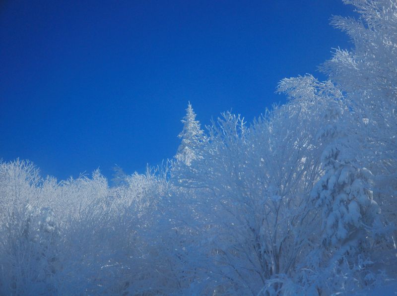 【音画欣赏】雪域蓝色梦