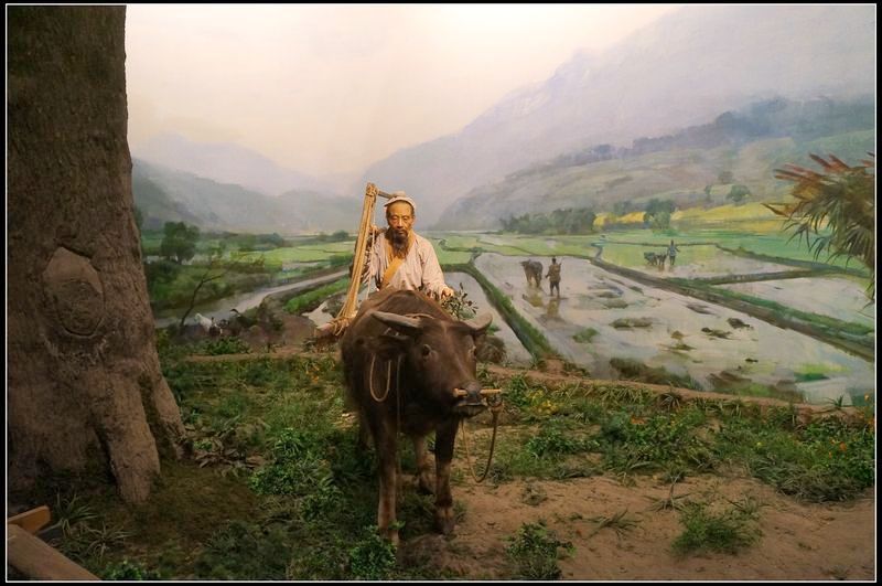 耕作 古代,古代耕作,耕作_大山谷图库