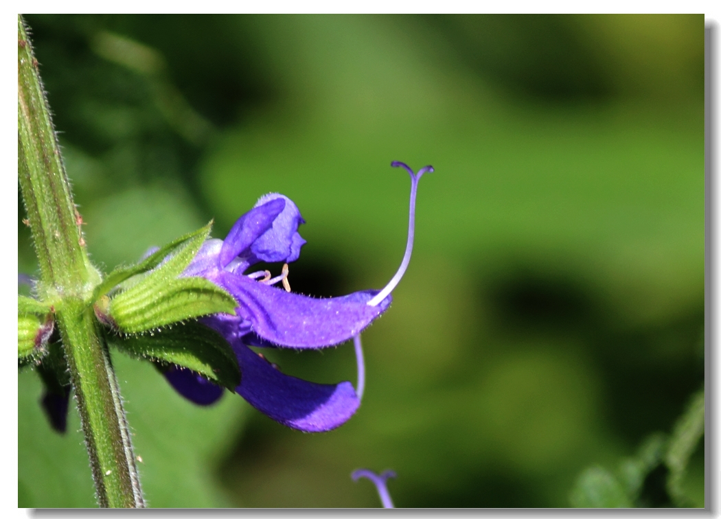 联众论坛 - 最专业的游戏论坛